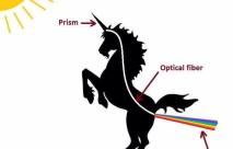 Unicorn or Data&nbsp;Monkey?